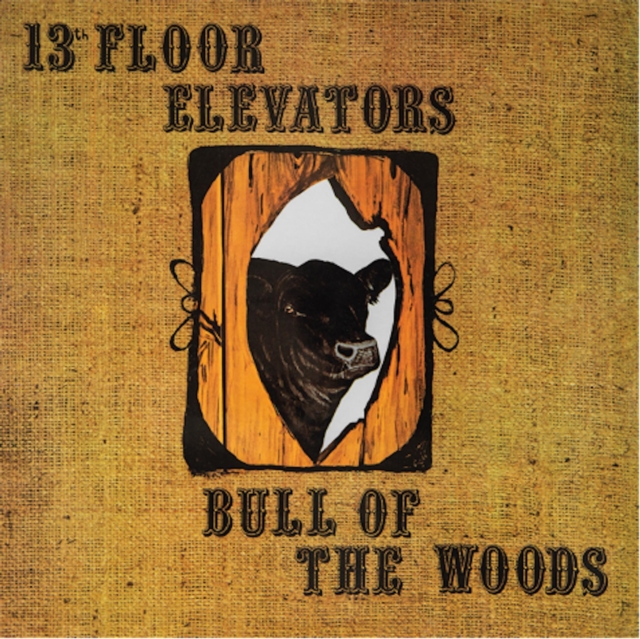 13TH FLOOR ELEVATORS - BULL OF THE WOODS (HALF SPEED REMASTER) - LP Vinyl