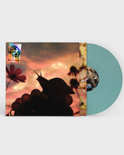 (PRE-ORDER) NO JOY - BUGLAND - LP Vinyl
