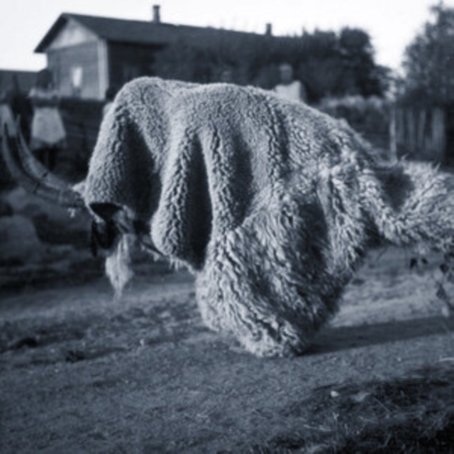 (PRE-ORDER) RANDOM GODS - PNEUMA - LP Vinyl