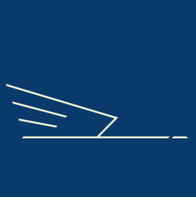 5065010051041.jpg WILD SWANS - REVOLUTIONARY SPIRIT - 7 inch Vinyl