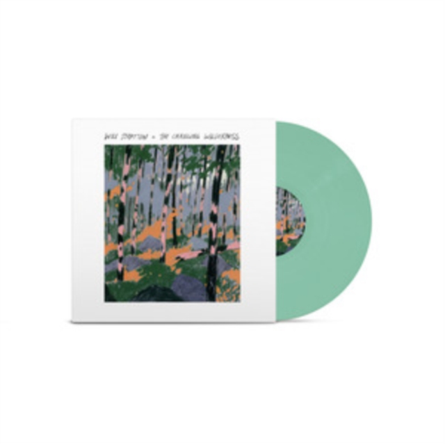 WILL STRATTON - CHANGING WILDERNESS - LP Vinyl