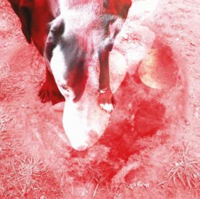 ANN EYSERMANS - MOONLIGHT SHADOH - LP Vinyl