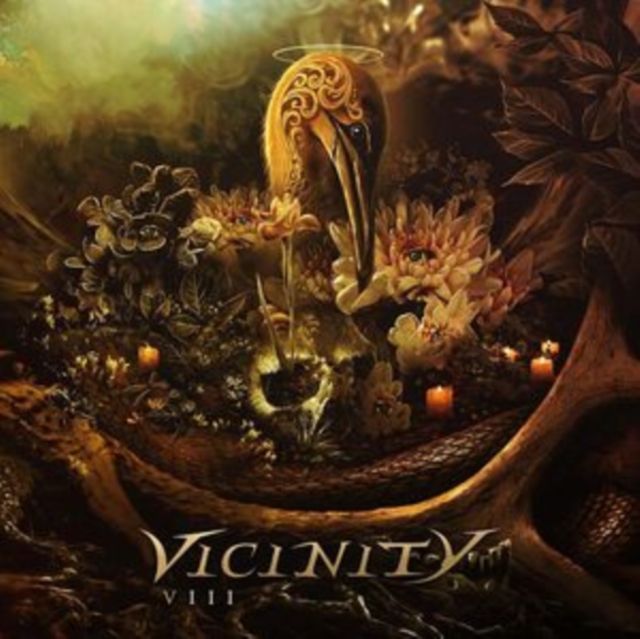 VICINITY - VIII (2LP) - LP Vinyl