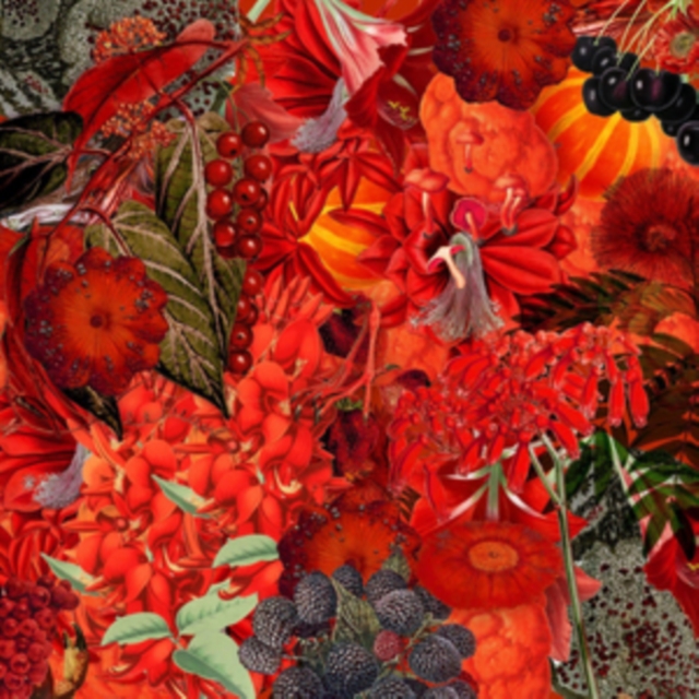 5902249000221-2.jpg WE WILL FAIL - HAND THAT HEALS/HAND THAT BITES (2LP) - LP Vinyl