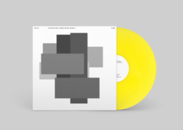 YAC - WE HAVE MUCH MORE IN COMMON THAN WHAT DIVIDES US - LP Vinyl