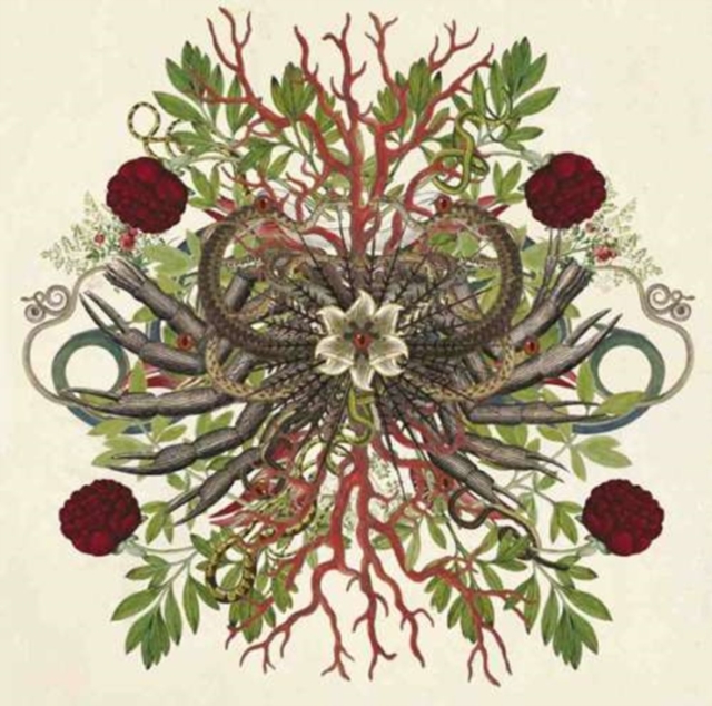 5908310927312-2.jpg WE WILL FAIL - VERSTORUNG 2.0 - LP Vinyl