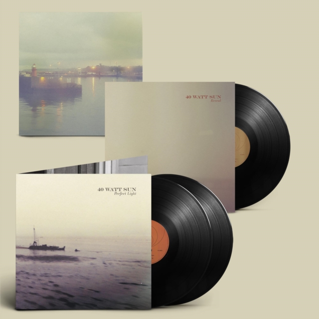 40 WATT SUN - PERFECT LIGHT - LP Vinyl