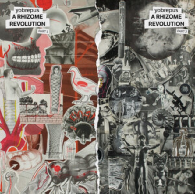 YOBREPUS - RHIZOME REVOLUTION PART 1 - LP Vinyl
