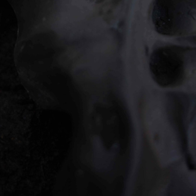 VITO GATTO - EVOLVE - LP Vinyl