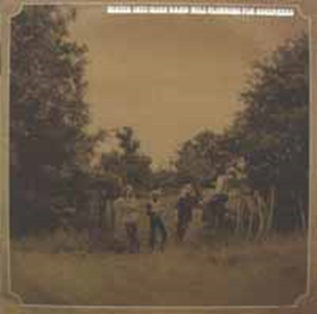 WATER INTO WINE BAND - HILL CLIMBING FOR BEGINNE - LP Vinyl