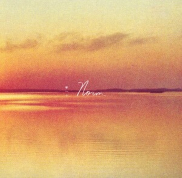 ANDY SHAUF - NORM - LP Vinyl