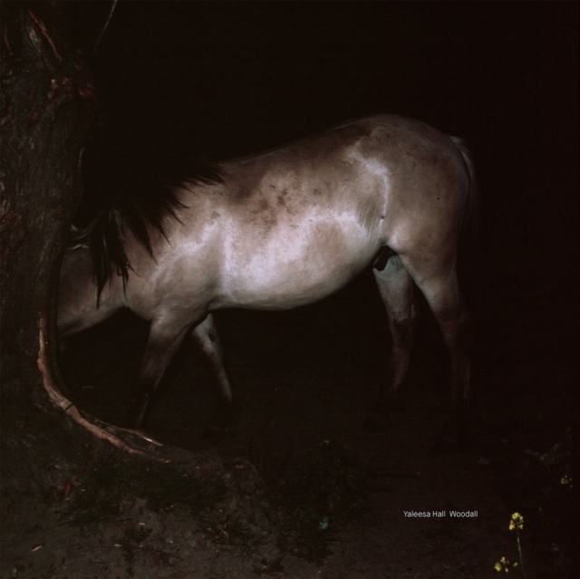 (PRE-ORDER) YALEESA HALL - WOODALL (2LP/IMPORT) - LP Vinyl
