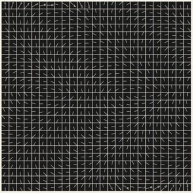 (PRE-ORDER) YTTLING JAZZ - ILLEGAL HIT - LP Vinyl