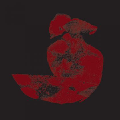 MC5qcGVn-766.jpeg AIDAN BAKER - PURE DRONE - LP Vinyl