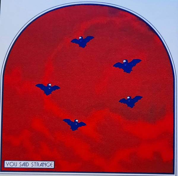 YOU SAID STRANGE - MOURNING COLORS - 7 inch Vinyl