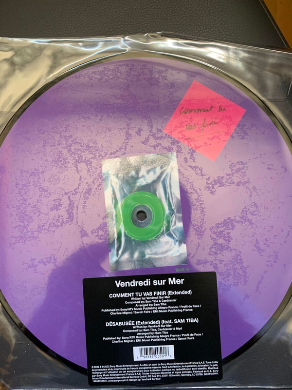 VENDREDI SUR MER - COMMENT TU VAS FINIR - LP Vinyl