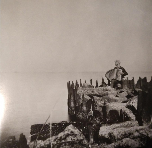 WALT MCCLEMENTS - HOLE IN THE FENCE - LP Vinyl