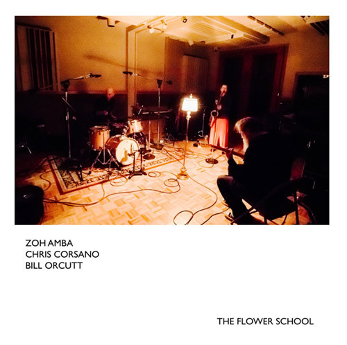 ZOH; CHRIS CORSANO & BILL ORCUTT AMBA - FLOWER SCHOOL - LP Vinyl