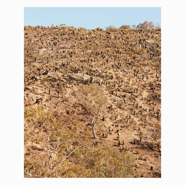 ANDREW & GIUSEPPE IELASI PEKLER - PALIMPSESTS - LP Vinyl