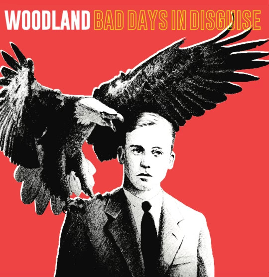 WOODLAND - BAD DAYS IN DISGUISE (LP/CD) - LP Vinyl