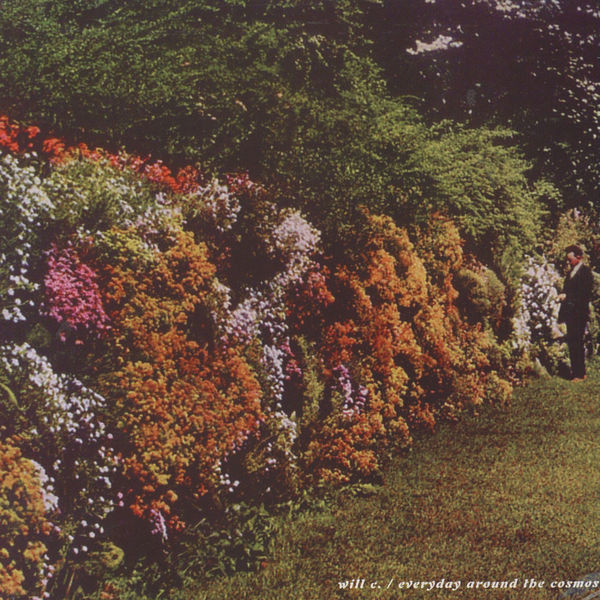 WILL C. - EVERYDAY AROUND THE COSMOS - LP Vinyl