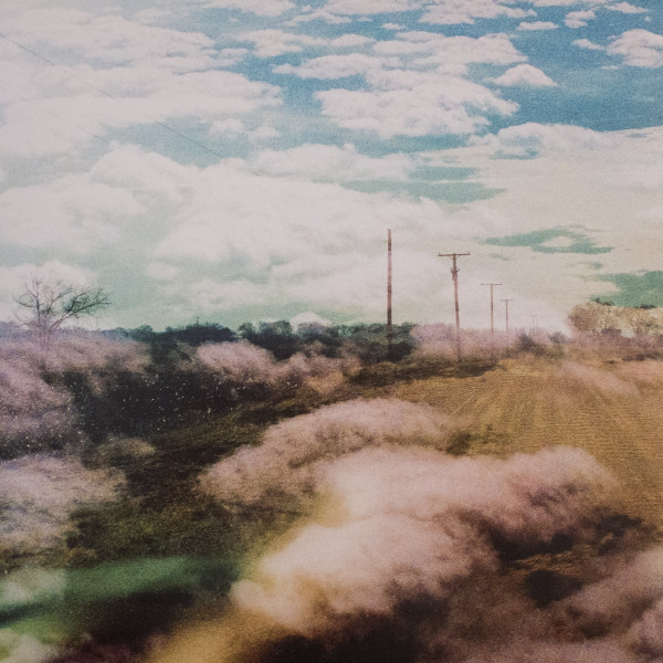 WORLD IS A BEAUTIFUL PLACE - ALWAYS FOREIGN (BLUE VINYL) - LP Vinyl