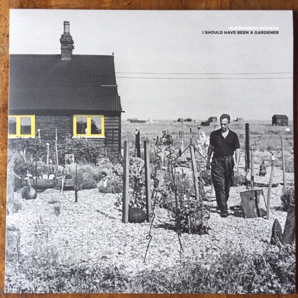 MjktNzY0Ni5qcGVn-2.jpeg ALESSANDRA NOVAGA - I SHOULD HAVE BEEN A GARDENER - LP Vinyl