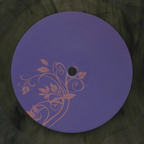 ANALOG ROLAND ORCHESTRA - RODEN CRATER VISION EP - 12 Inch vinyl