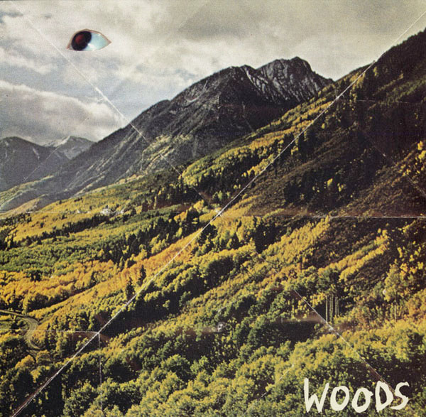 WOODS - SONGS OF SHAME - LP Vinyl