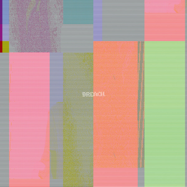 ZENO VAN DEN BROEK - BREACH - LP Vinyl