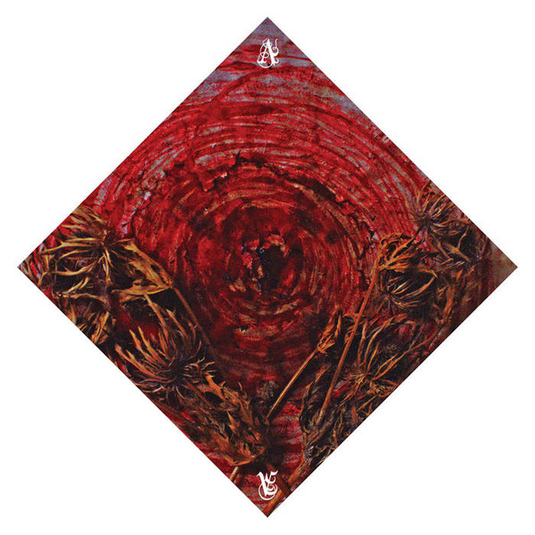 MzEtNDg1NC5qcGVn.jpeg AINSOPH - AFFECTION & VENGEANCE - LP Vinyl