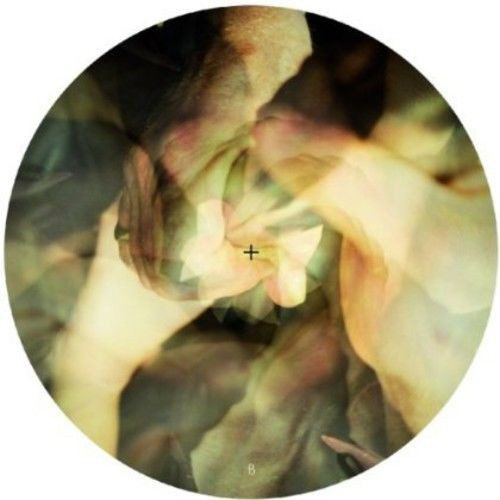 WAREIKA - BURNIN - 12 Inch vinyl