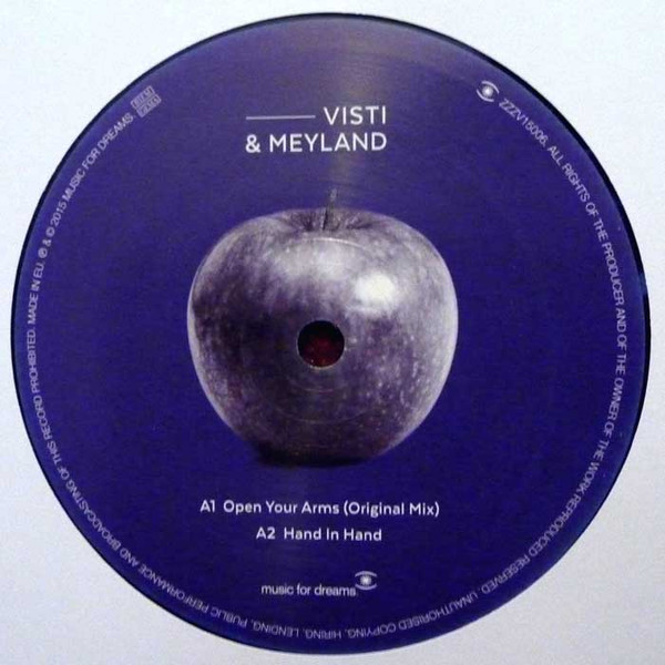 VISTI & MEYLAND - OPEN YOUR ARMS - 12 Inch vinyl