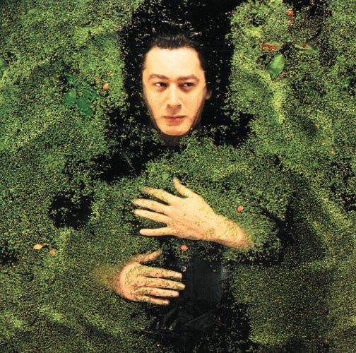 NC5qcGVn-579.jpeg ALAIN BASHUNG - FANTAISIE MILITAIRE - LP Vinyl