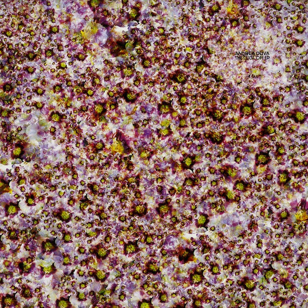 ANDREA OLIVA - CLICK OFF EP - 12 Inch vinyl