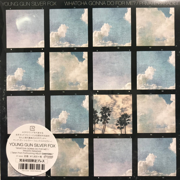 YOUNG GUN SILVER FOX - WHATCHA GONNA DO FOR ME? / PRIVATE PARADISE - LP Vinyl