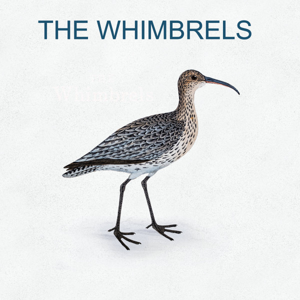 WHIMBRELS - WHIMBRELS - LP Vinyl