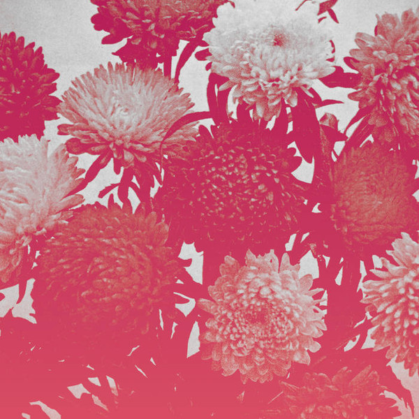 AMELIA COURTHOUSE - BROKEN THINGS - LP Vinyl