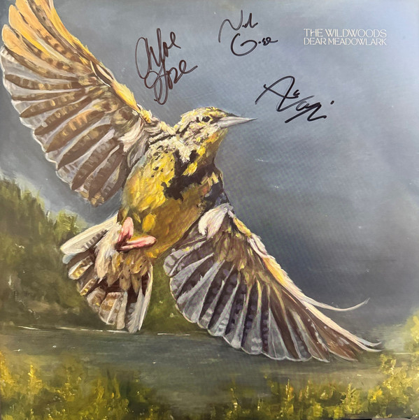 (PRE-ORDER) WILDWOODS - DEAR MEADOWLARK - LP Vinyl