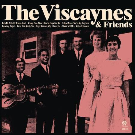 VISCAYNES - VISCAYNES & FRIENDS - LP Vinyl