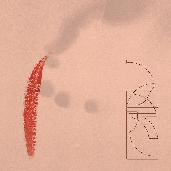 ZRL - OUR SAVINGS - LP Vinyl
