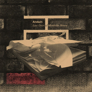 ANDUIN - LAST DAYS OF MONTROSE HOUSE - 10 Inch Vinyl