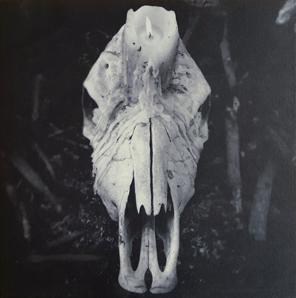 WORSEN - CURSED TO WITNESS LIFE - LP Vinyl