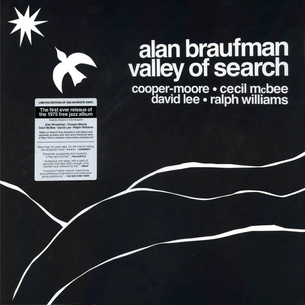 NTQtNTUzMS5qcGVn.jpeg ALAN BRAUFMAN - VALLEY OF SEARCH (WHITE VINYL) - LP Vinyl
