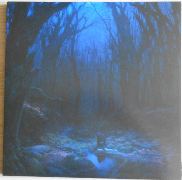 WOODS OF DESOLATION - TORN BEYOND REASON (RED / BLUE VINYL) - LP Vinyl