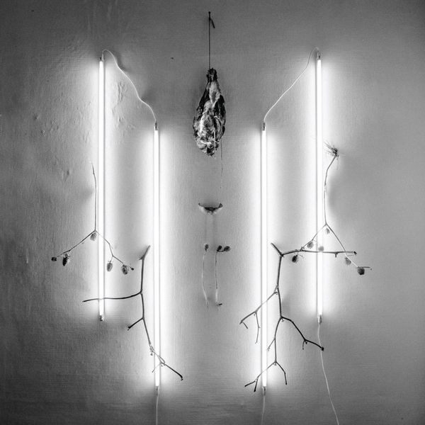 Ni01MzA2LmpwZWc-2.jpeg ALKERDEEL / NIHILL - ABYSS STARES BACK 4 - LP Vinyl