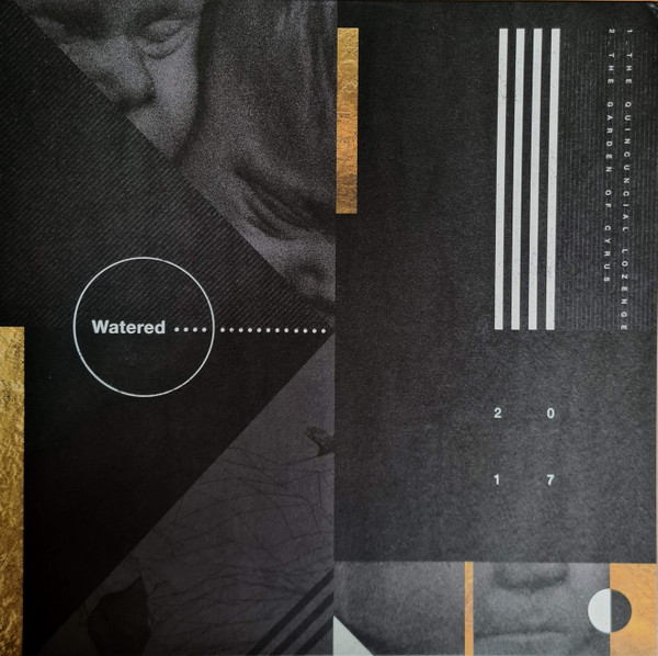WATERED/TERRAFORMER - SPLIT - LP Vinyl