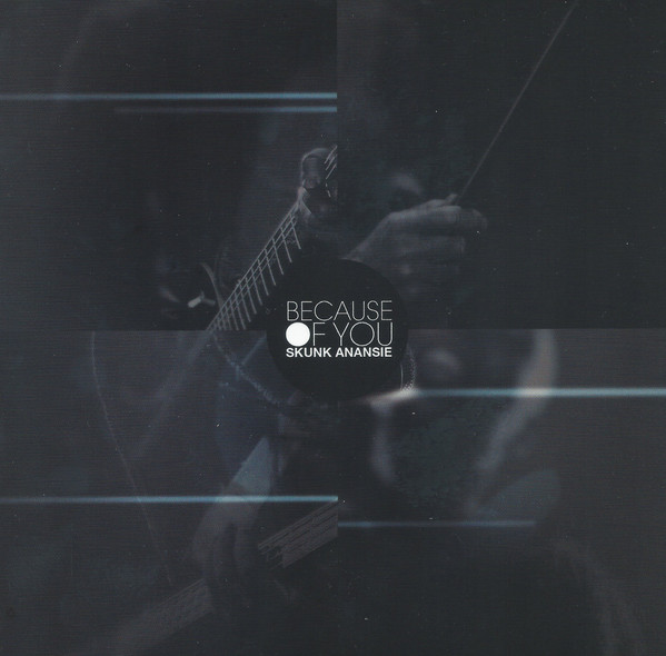 ANANSIE SKUNK - BECAUSE OF YOU - 12 Inch vinyl