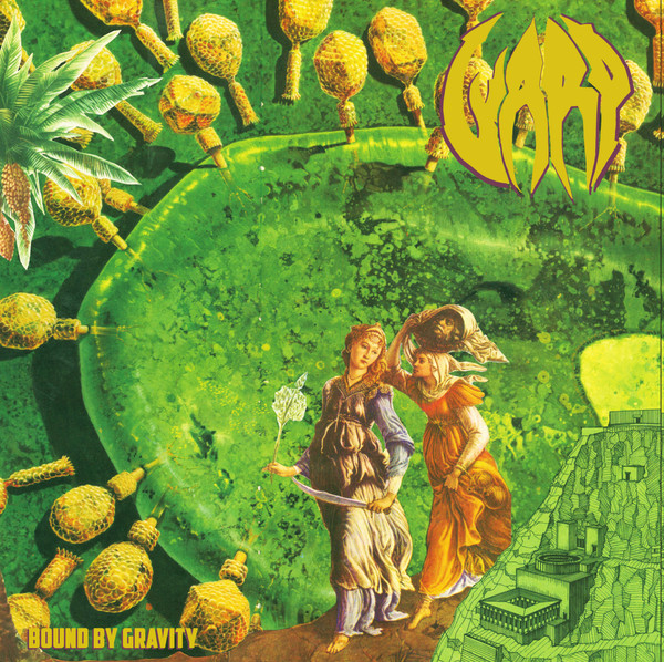WARP - BOUND BY GRAVITY - LP Vinyl