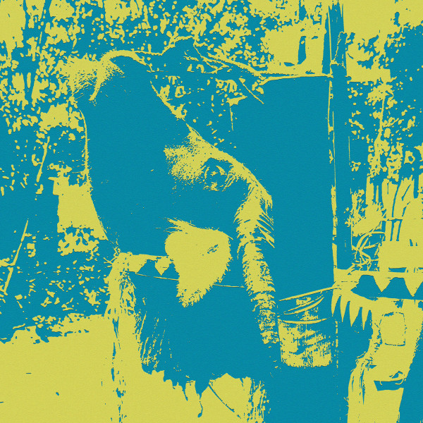 VINCENZO DELLA RATTA - GONGS OF THE BAHNAR: A BUFFALO SACRIFICE CEREMONY - LP Vinyl